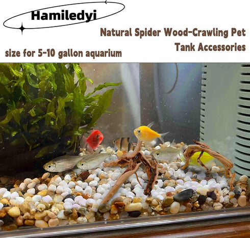 Hamiledyi 6 PCS Aquarium Driftwood Natural Spider Wood Branches Reptiles Aquarium Fish Tank Decoration Assorted(6 inch-8 inch)...