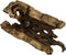 Natural Cholla Wood Chunk Air Plant Display Holders Individually Unique Decorative Stands Holder (Cholla Chunk)...