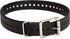 SportDOG Brand 1 Inch Collar Straps - Waterproof and Rustproof - Tightly Spaced Holes for Proper Fit - Black...