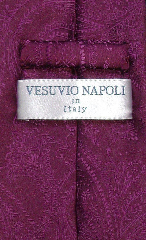 Vesuvio Napoli NeckTie EGGPLANT PURPLE Color Paisley Design Men's Neck Tie...