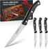 HAUSHOF Steak Knives Set of 4, Premium Stainless Steel Serrated Steak Knife Set with Gift Box, Full Tang and Ergonomic Handle, Gifts Knife Set for...