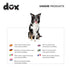 DDOXX Nylon Dog Leash, 3-Way Adjustable, 6.6 ft - for Dogs Large & Small - Double Dog Leash for Two Dogs/Cats/Puppies - Slip Leash/Training Leash ...