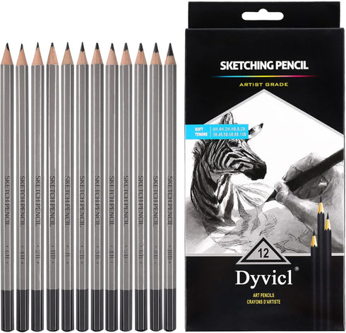 Dyvicl Professional Drawing Sketching Pencil Set - 12 Pieces Drawing Pencils 10B, 8B, 6B, 5B, 4B, 3B, 2B, B, HB, 2H, 4H, 6H Graphite Pencils for K...