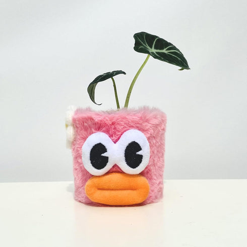 Cute Face Planter Flower Pots, Succulent Plants Pot, Funny Plant Pots, Unique Planter pots, Indoor/Outdoor (Pink)...