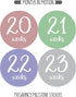 Pregnancy Weekly Belly Growth Stickers, 36 pcs - Purple Pink, Matte Finish, Cloth Surface, for Maternity Photo Sessions & Keepsakes...