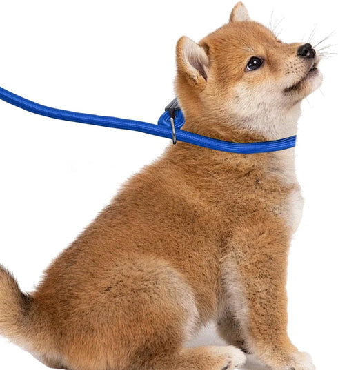 4pcs Dog Slip Lead 5ft Slip Lead Leash No Pull Training Leash for Small Medium Dogs Walking Running Training...