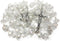 Nazareth Store White Clear Crystal Beads Rosary Prayer Beaded Necklace with Holy Soil Medal and Jesus Cross Communion Rosary...
