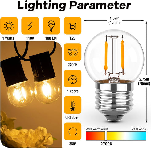 E26 Low Light Bulbs,1Watt G40 Edsion Small LED Light Bulbs Equal to 10w Incandescent,2700k Warm White for Bedside Lights, Wall Lights, Porch Light...