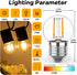 E26 Low Light Bulbs,1Watt G40 Edsion Small LED Light Bulbs Equal to 10w Incandescent,2700k Warm White for Bedside Lights, Wall Lights, Porch Light...