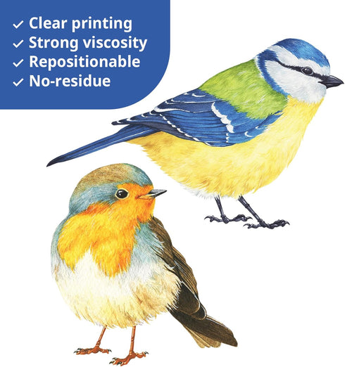 DECOWALL DS2-8038 Little Birds Kids Wall Stickers Wall Decals Peel and Stick Removable Wall Stickers for Kids Nursery Bedroom Living Room (Small) ...