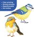 DECOWALL DS2-8038 Little Birds Kids Wall Stickers Wall Decals Peel and Stick Removable Wall Stickers for Kids Nursery Bedroom Living Room (Small) ...
