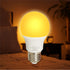 Harth - Sleep-Shift Sleep Ready Light, 7 watt Dimmable LED Amber Bulb. Supports Healthy Sleep Patterns with Ambient Low Blue Night Light, Pack of ...