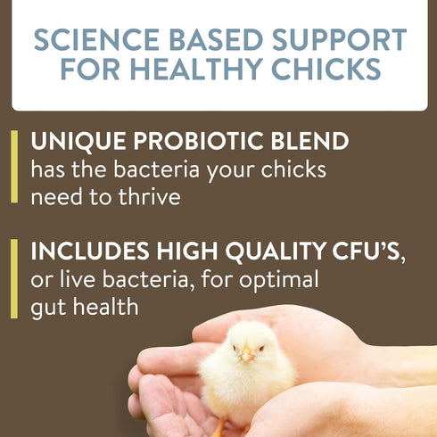 Arrive, Daily Probiotic & Prebiotic Water Supplement for Young Chickens 0-8 Weeks Old, 8 oz...
