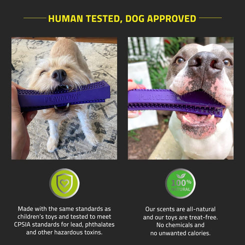 Playology Silver Dental Chew Stick Dog Toy for Medium Senior Dogs (15-35lbs) - Engaging All-Natural Pork Sausage Scented Dog Chew Toy - Non-Toxic ...