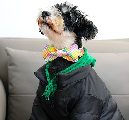 Lionet Paws Easter Dog Collar with Bowtie - Colorful Cute Cotton Bowtie Dog Collar with Metal Buckle for Medium Dog Girl Boy Gift, M, Neck 13.5-22...