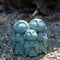 OwMell 3 Japanese Jizo Statue Stone Japanese Buddha Jizo Monk Statue Figurine Memorial Statue Aquarium Decoration Garden Outdoor Ornament 3" - Pra...