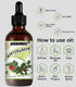 Wintergreen Essential Oil Pure Aromatherapy Fresh Minty Scent Oils for Diffusers Topical Winter Essential Oils 4 oz...