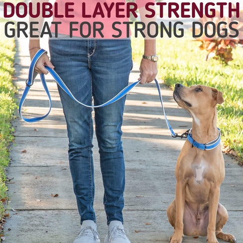 Leashboss 6ft Dog Leash | Ultra Comfort Double-Thick Soft Padded Handle | Reflective Leash for Large Dogs, Medium Dogs | Heavy Duty Leash for Larg...