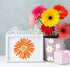 Daisy Stencil Flower Stencils for Painting on Wood, Floral Drawing Paint Wood Burning Layering Templates for Crafts Card Making Furniture Wall Flo...