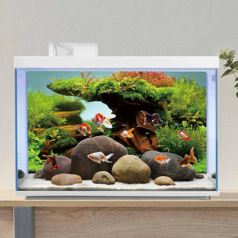 AWERT 48x24 inches Wood Fish Tank Background Seaweed Aquarium Background River Bed & Lake Aquarium Background Vinyl Background...