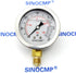 SINOCMP 40Mpa/0-400bar/0-6000PSI Economical Multi Purpose Double Scale Stainless Steel Glycerin Filled Hydraulic Pressure Gauge...