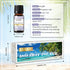 Holiday Island Fragrance Oil Gift Set of 6 Summer Fragrance Essential Oils Set for Humidifier, Aromarathepy - 10ml - Pineapple, Coconut, Sea Breez...