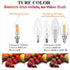 LiteHistory E12 led Bulb Dimmable 6W Equal 60 Watt LED Light Bulbs 2700K AC120V led Edison Bulb CA10 CA11 led Candelabra Bulb for Chandelier Light...