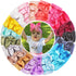 CellElection 20PCS Baby Girls Soft Nylon Headbands 6Inch Big Bows Elastic Nylon Hairbands Hair Accessories for Newborns Infants Toddlers Kids…...