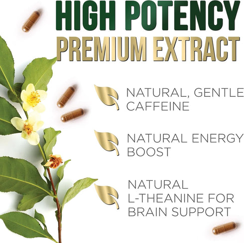 Green Tea Extract Weight Loss Pills 1000mg 98% Standardized EGCG - 3X Strength for Natural Energy - Supports Heart Antioxidant Health with Polyphe...