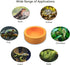2 Pack Worm Dish Reptile Food Bowl Bearded Dragon Ceramic Bowl with Feeding Tongs (Yellow-Medium)...