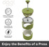 Oggi French Press Coffee Maker (12oz)- Borosilicate Glass, Coffee Press, Single Cup French Press, 3 cup Capacity, Olive...