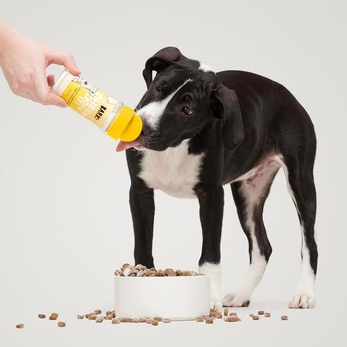 Barkbox – Cheesy Does It! – Dry Dog Food Toppers with High Protein, Limited Ingredients – Meal Flavor Enhancer for Large & Small Breeds – 2.5 Oz...