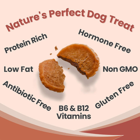 Dog Training Treats - Turkey Chips, Single Ingredient, Lean, All Natural, Healthy Dog Treats for Small, Medium, Large Dog Breeds, & Puppies, Made ...