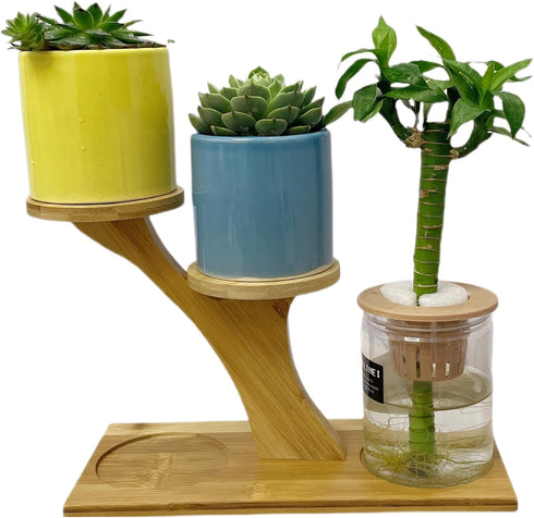 Window Sill Plant Shelf?Desk Desktop Bamboo Plant Stand?Table Succulent Plant Stand for Home, Office, Living Room, Bedroom Decoration...