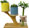 Window Sill Plant Shelf?Desk Desktop Bamboo Plant Stand?Table Succulent Plant Stand for Home, Office, Living Room, Bedroom Decoration...