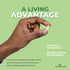 ForestLeaf Clinically Studied Probiotics 100 Billion CFU, 26 Strains with Organic Prebiotic Blend & Digestive Enzymes - Probiotic Prebiotic for Me...