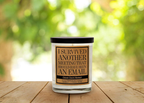 Cedar Crate Market - Funny Candles for Women, Men, Adult Humor - This Meeting Could Have Been an Email - Funny Gift for Coworkers, Boss, Work Best...
