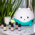 LittleHippo Set of 6 Premium 100% Pure Essential Oils 10ml Specially Formulated for Kids/Children for Use with WISPI (Lavender, Tea Tree, Geranium...