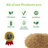 Spice Magic Whole Spices ~ 100% Pure, Aromatic & Natural I Gluten-Free I Non-GMO I Indian Origin, Ajwain Seeds...