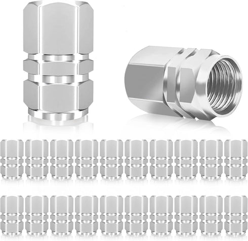 WSSROGY 20pcs Car Tire Valve Stem Caps Air Caps Cover, Universal for Cars, SUVs, Bike, Trucks & Motorcycles (Silver)...