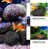 INOOMP Aquarium Lava Rocks, 1 Set of Black Volcanic Rocks Natural Lava Pebbles Stones Planter Natural Stones for Fireplaces Fire Pits Plants Culti...