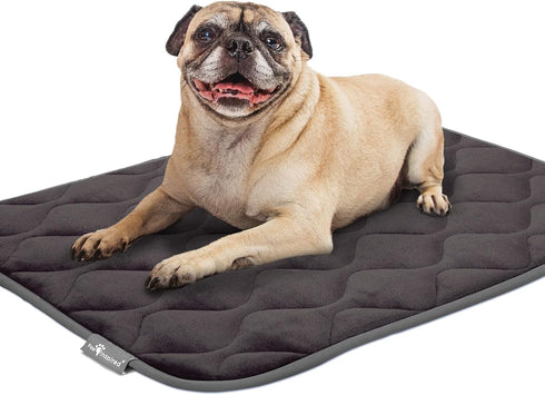 Paw Inspired Washable Padded Crate Mats for Dogs | 29” x 18” Pad, Fits 30-inch Kennels | Leakproof, Waterproof Bottom, Plush Pet Beds (Gray)...
