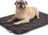 Paw Inspired Washable Padded Crate Mats for Dogs | 29” x 18” Pad, Fits 30-inch Kennels | Leakproof, Waterproof Bottom, Plush Pet Beds (Gray)...