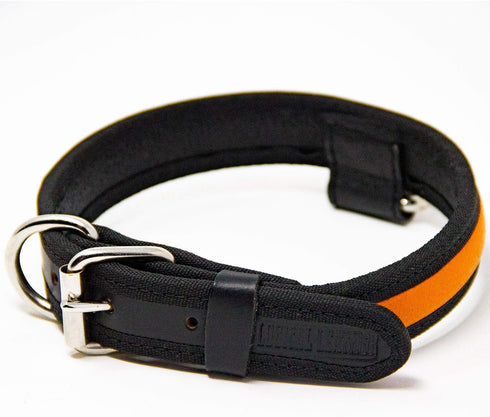 Premium Leather Dog Collar - Best Full Grain Heavy Duty Genuine Leather Collar (Orange, Medium)...