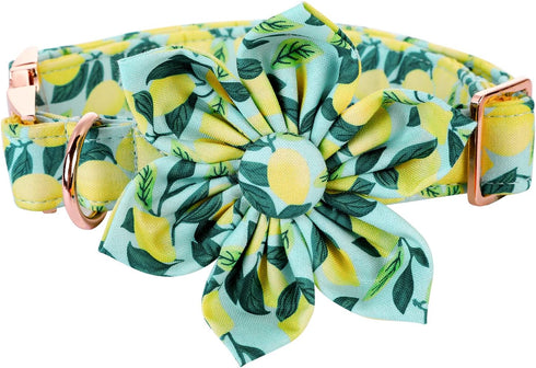 MR. CHUBBYFACE Dog Collar with Bowtie Summer Lemon Dog Collar Adjustable Boy Girl Flower Dog Collar Bowtie for Small Medium Large Dog...