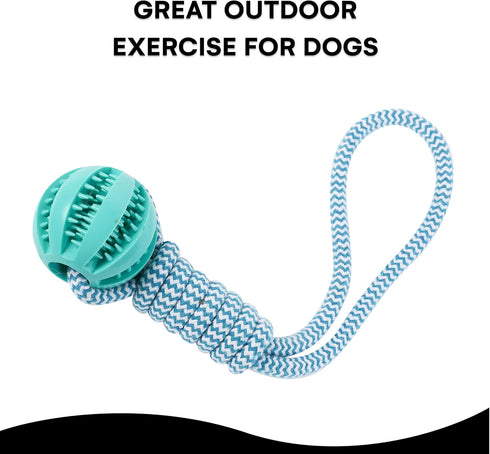 Black Rhino Tetherball set for Dogs - Heavy Duty Outdoor Dog Toy - Interactive Dog Rope Ball for Playground...