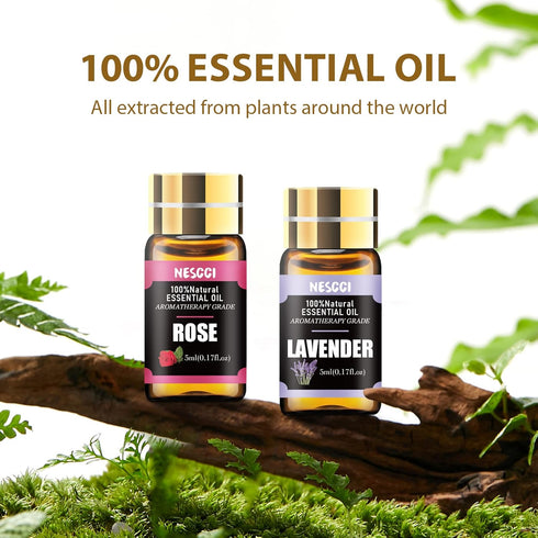 Essential Oil Set, for Diffuser, Humidifiers, Skin Care, Massage, Fragrance Oil Scent for DIY Candle and Soap Making (18 * 5ML)...