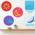 11 Inch Dry Erase Dots Removable Vinyl Dot Circle Whiteboard Marker Vinyl Stickers Dots Wall Decals for School Classroom Teachers Students Table R...