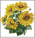 HUKI Stamped Cross Stitch Kits for Adults 11CT Counted Cross Stitch Kits for Beginners Embroidery Kits with Sunflower Pattern Cloth, Needles, Flos...