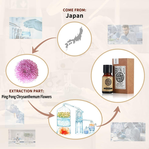 Ping Pong Chrysanthemum Essential Oil Natural Organic Pure Ping Pong Chrysanthemum Oil for Skin Body Hair Care, Candle,Soap,Making, DIY,Massage Ar...